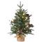 2ft. Pre-Lit Happy Hill Pine Artificial Christmas Tree, Warm White LED Lights